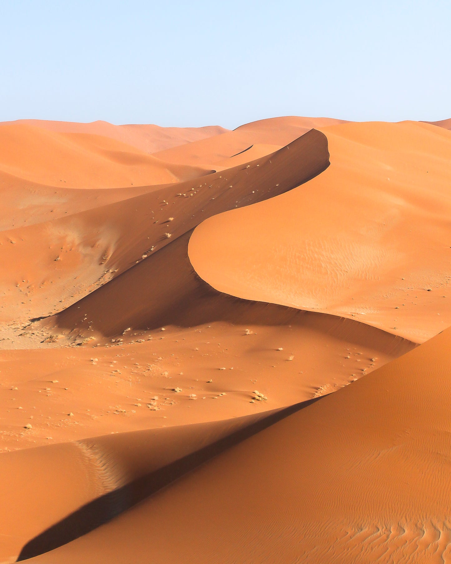 "NAMIB DESERT" Nature Photography Print, Metal or Fine Art Paper