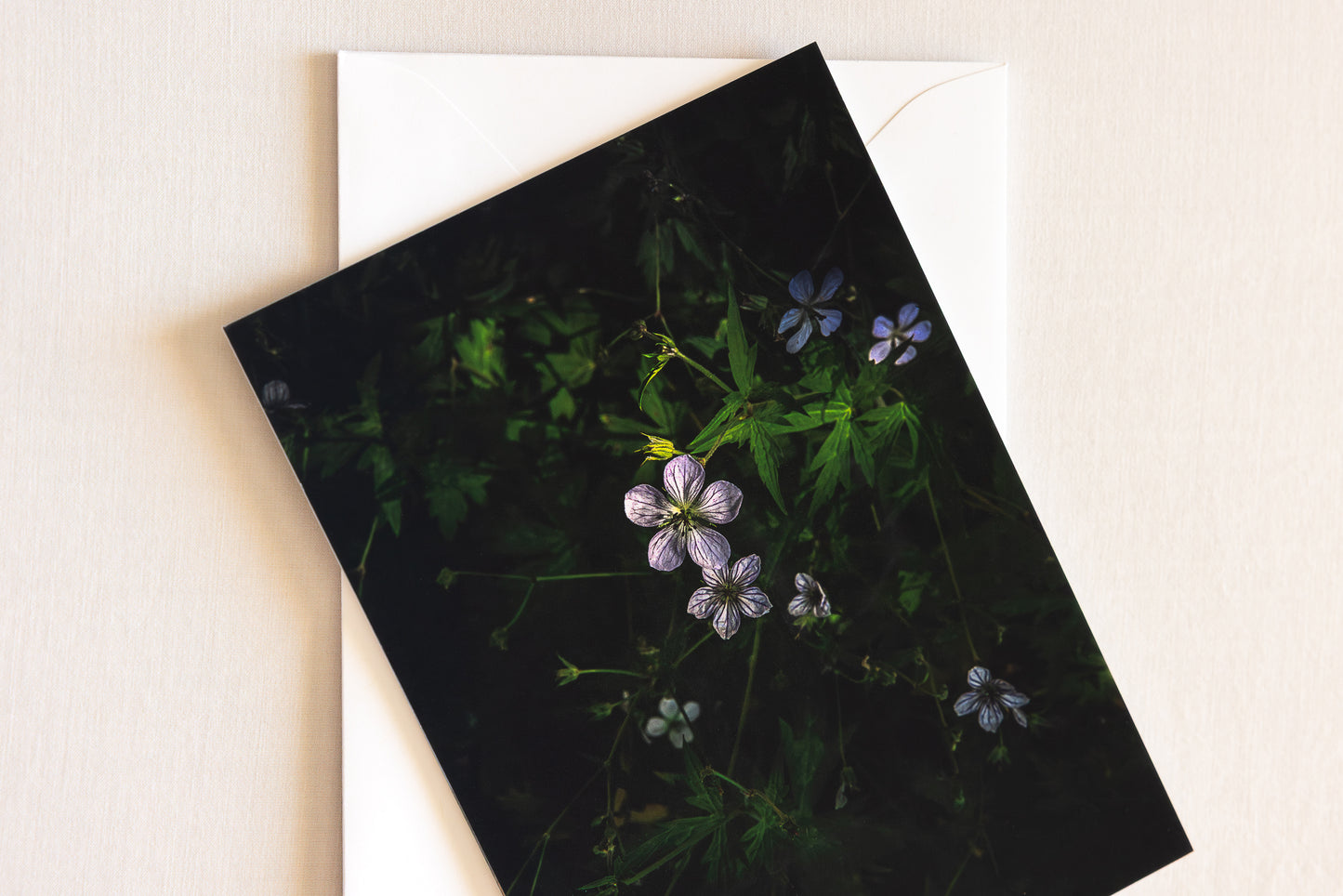 "WYOMING WONDERS" Nature Notecards, Set of 4 Blank Mountain Photography Postcards