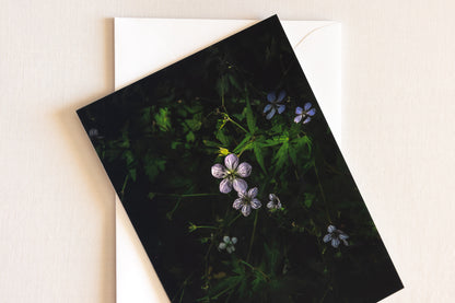 "WYOMING WONDERS" Nature Notecards, Set of 4 Blank Mountain Photography Postcards