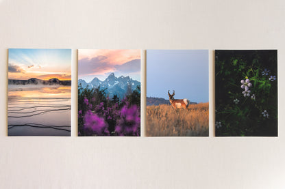 "WYOMING WONDERS" Nature Notecards, Set of 4 Blank Mountain Photography Postcards