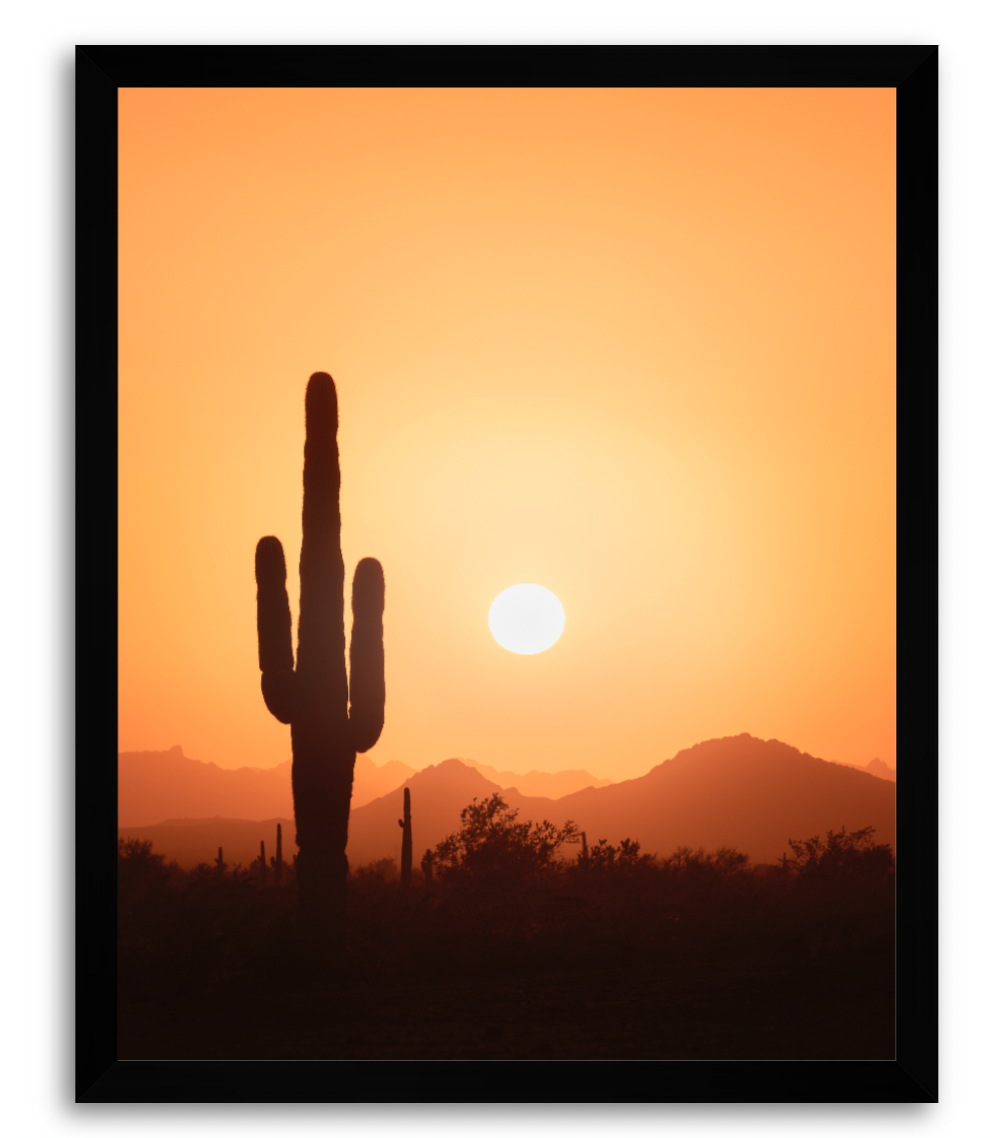 CUSTOM FRAMED "SAGUARO SUN" (8x10)