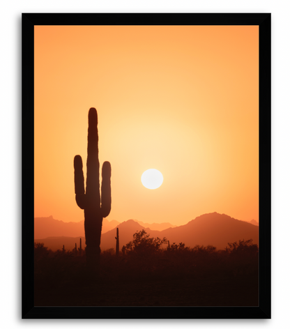 CUSTOM FRAMED "SAGUARO SUN" (8x10)