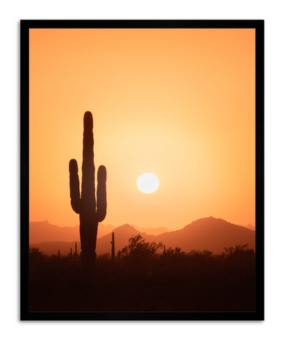 CUSTOM FRAMED "SAGUARO SUN" (16x20)