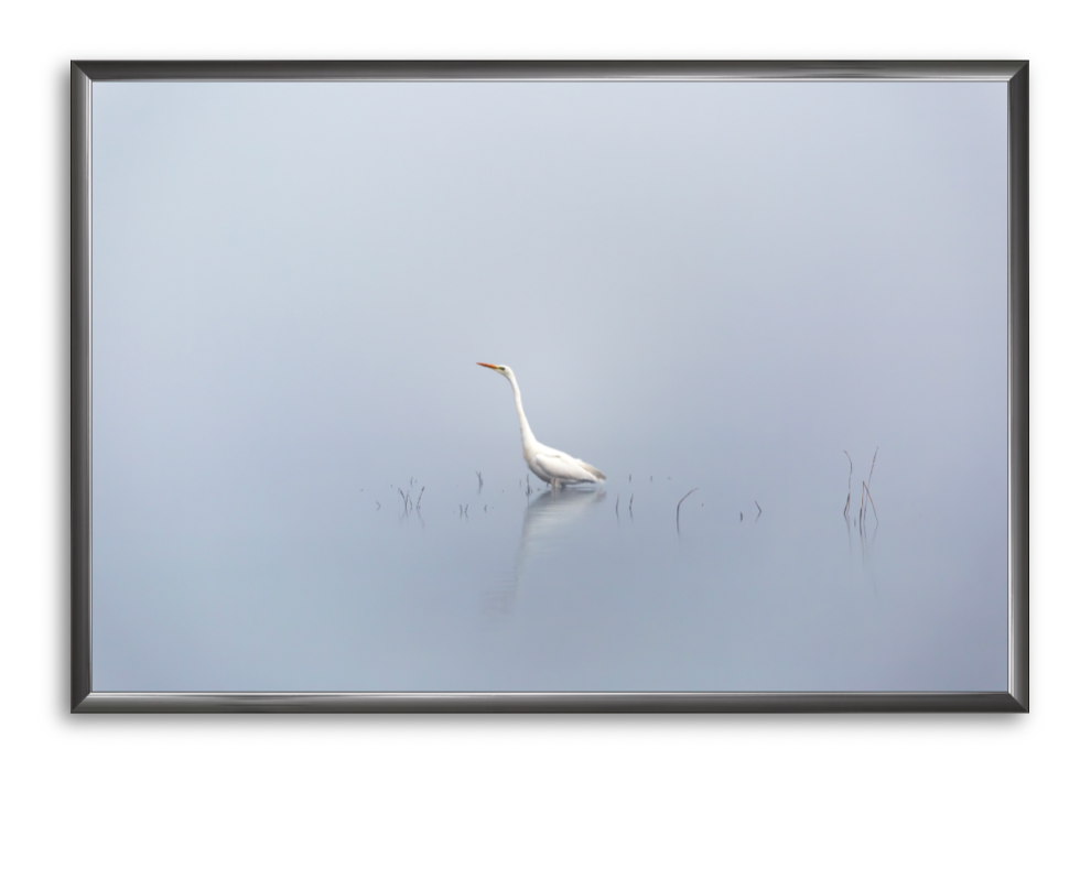 CUSTOM FRAMED "SOLITUDE" (8x12)