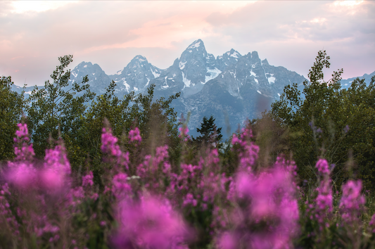 "TETON SPLENDOR" Landscape Photography Print, Metal or Fine Art Paper