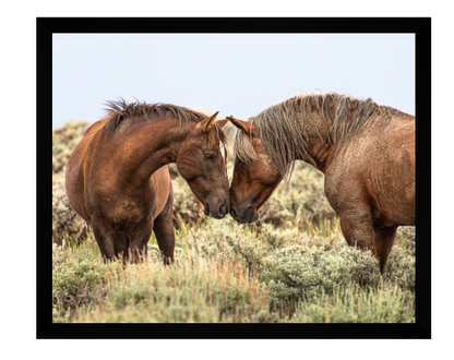 CUSTOM FRAMED "THE STANDOFF" (8x10)