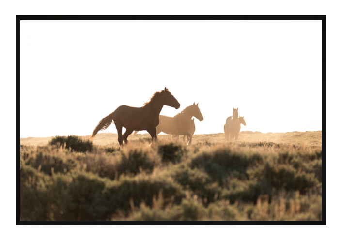 CUSTOM FRAMED "RUN WILD" (8x12)