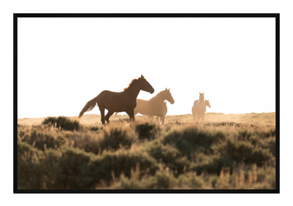CUSTOM FRAMED "RUN WILD" (8x12)