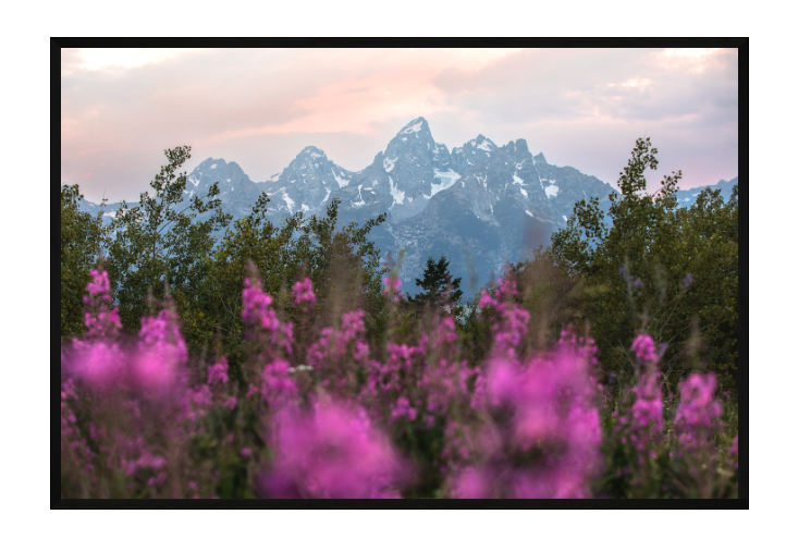 CUSTOM FRAMED "TETON SPLENDOR" (8x12)