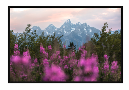 CUSTOM FRAMED "TETON SPLENDOR" (8x12)