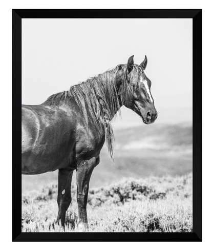 CUSTOM FRAMED "TOXA" (8x10)