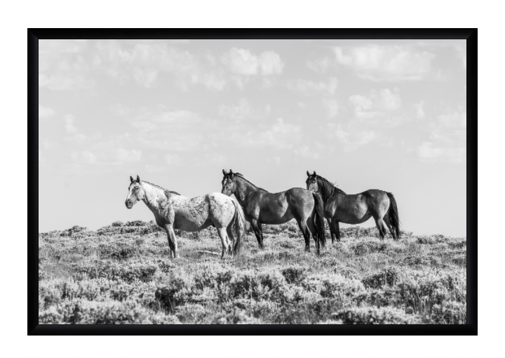CUSTOM FRAMED "TRIO" (8x12)