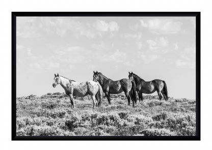 CUSTOM FRAMED "TRIO" (8x12)