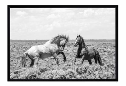 CUSTOM FRAMED "DOMINANCE" (8x12)