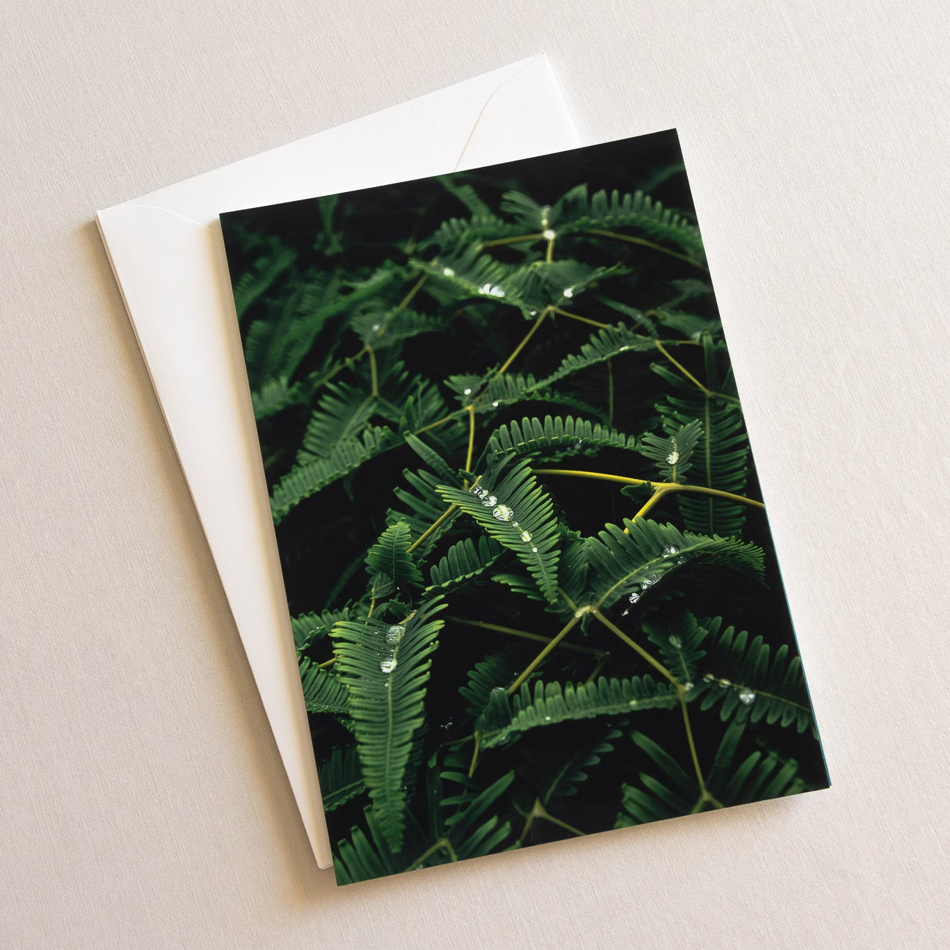 "TROPICAL" Nature Notecards, Set of 2 Blank Landscape Photography Postcards