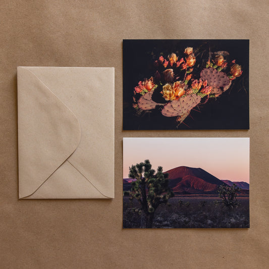 "DESERT FLORA" Nature Notecards, Set of 2 Blank Desert Photography Postcards
