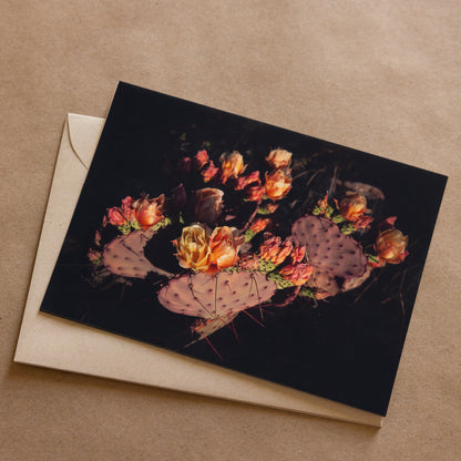 "DESERT FLORA" Nature Notecards, Set of 2 Blank Desert Photography Postcards